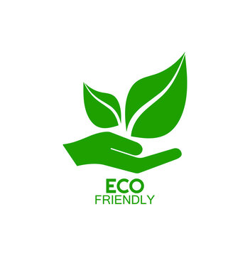 ECO FRIENDLY LOGO for our business rule